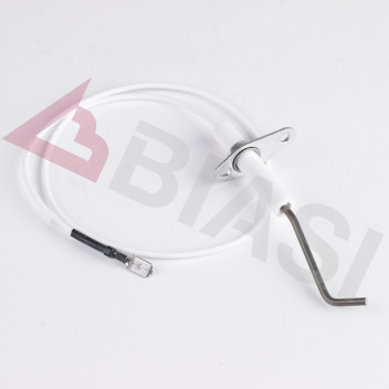 Biasi - Detection Electrode