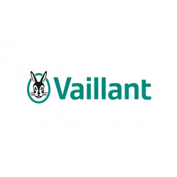 Vaillant Flues
