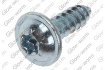 Glow-worm - Screw Torx 4.2X13.5Mm