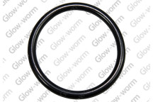 Glow-worm - O-Ring