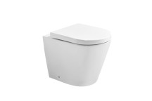Toilet - California - BTW Pan & Seat