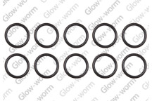 Glow-worm - O-Ring, (X10)