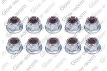 Glow-worm - Nut, (X10)