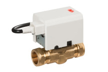 Esi - 2 Port 28mm Zone Valve - Neon Light & Plug
