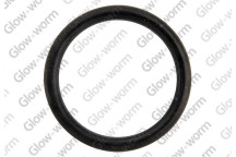 GW O Ring -0.924 X0.116