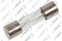 Protherm - Fuse T 250Ma