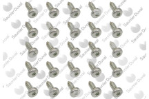 Saunier Duval - Screw, (X25)