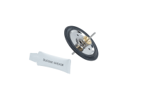 DIAPHRAGM REPLACEMENT KIT GC NO 793879