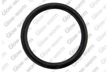 Glow-worm - O Ring