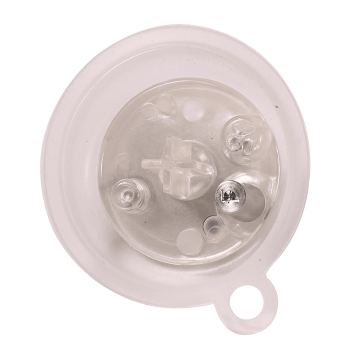 DIAPHRAGM (F)