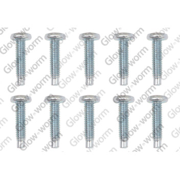 Protherm - Screw, (X10)