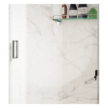 Shower Door - Pivot - 700mm