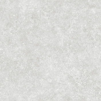 Porcelain Exterior Tile - Blue Stone Coin - 600X600