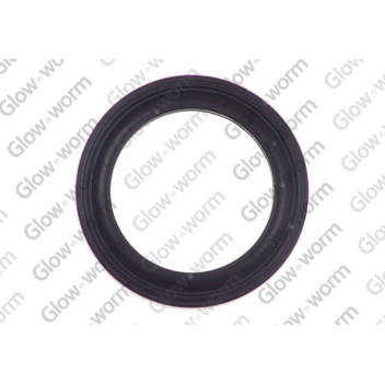Glow-worm - Washer