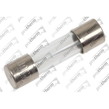 Protherm - Fuse T 250Ma