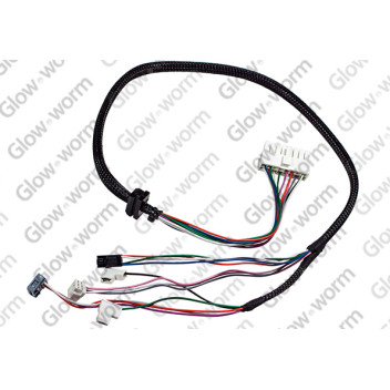 Glow-worm - Harness