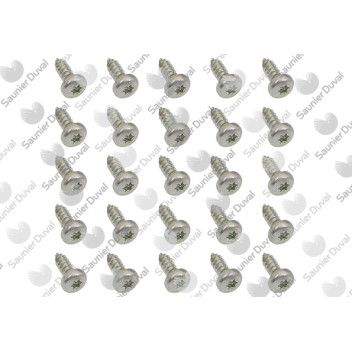 Saunier Duval - Screw, (X25)