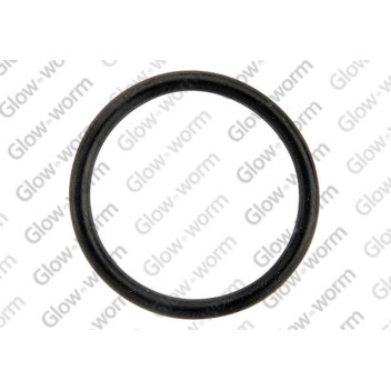 Glow-worm - O Ring