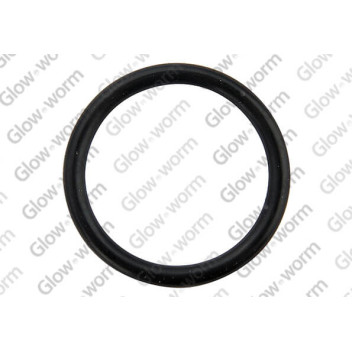 Glow-worm - O Ring