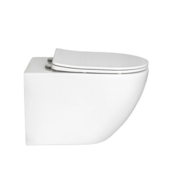 Toilet - California - Wall Hung Pan & Seat